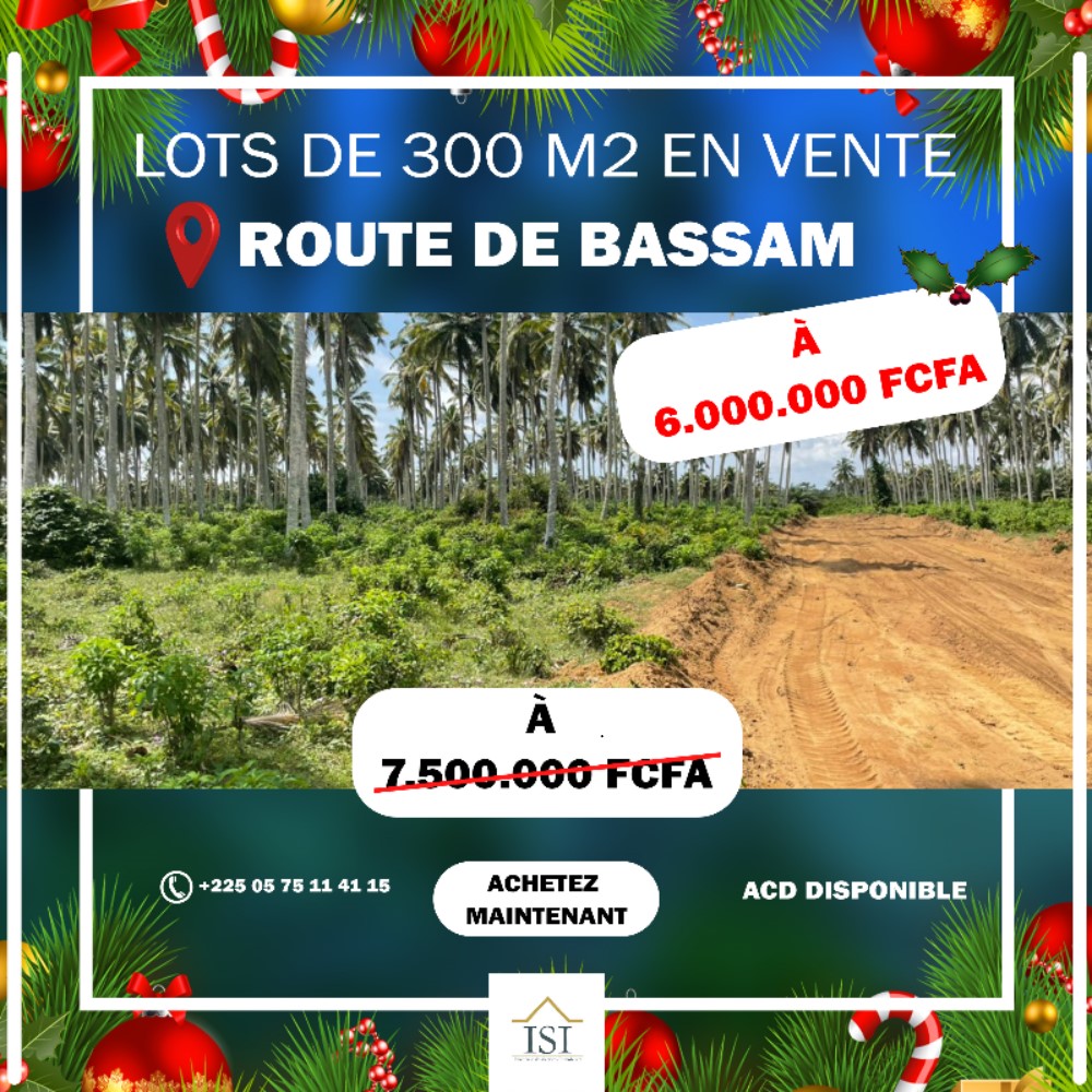 Lots de 300 M2 sur la route de Bassam